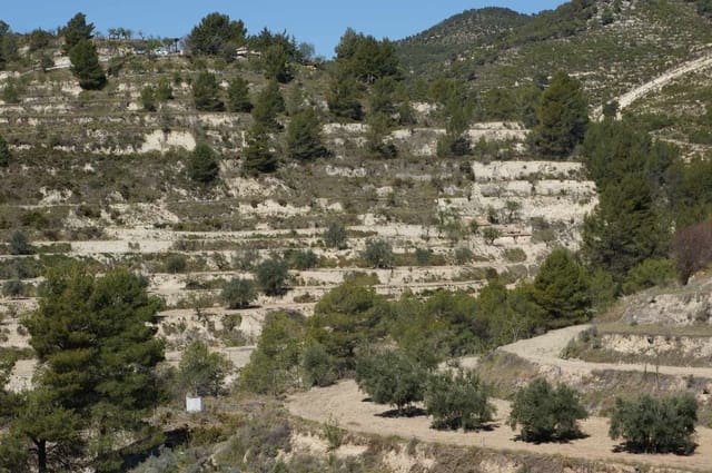 Grond te koop in Torremanzanas - € 63.000 (Ref: 6303079)