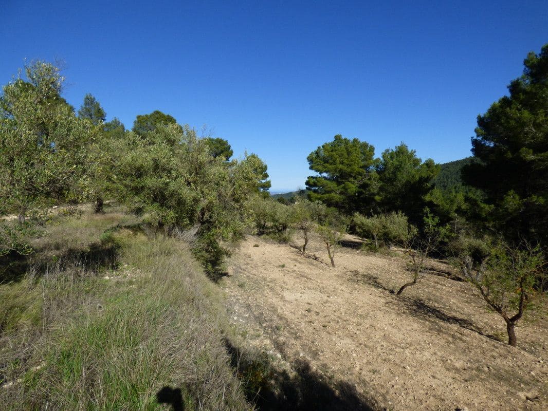 Quinta/Casa Rural para venda em Torremanzanas - 39 000 € (Ref: 6976304)