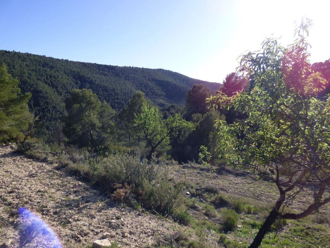 Quinta/Casa Rural para venda em Torremanzanas - 39 000 € (Ref: 6976304)