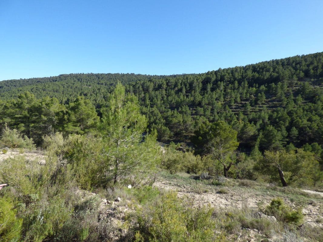 Quinta/Casa Rural para venda em Torremanzanas - 39 000 € (Ref: 6976304)