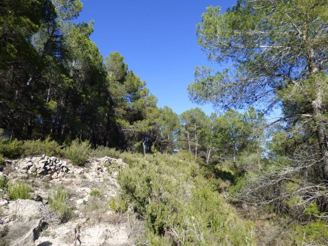 Quinta/Casa Rural para venda em Torremanzanas - 39 000 € (Ref: 6976304)