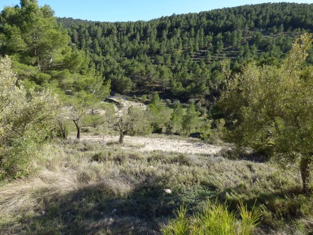 Finca/Country House for sale in Torremanzanas - € 39,000 (Ref: 6976304)