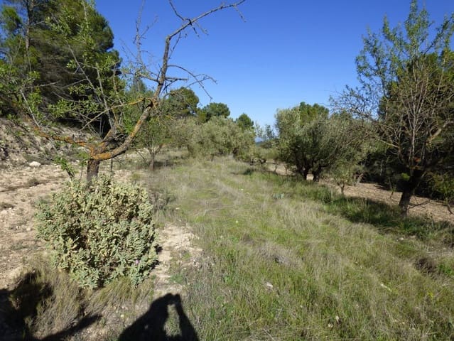 Finca/Country House for sale in Torremanzanas - € 39,000 (Ref: 6976304)