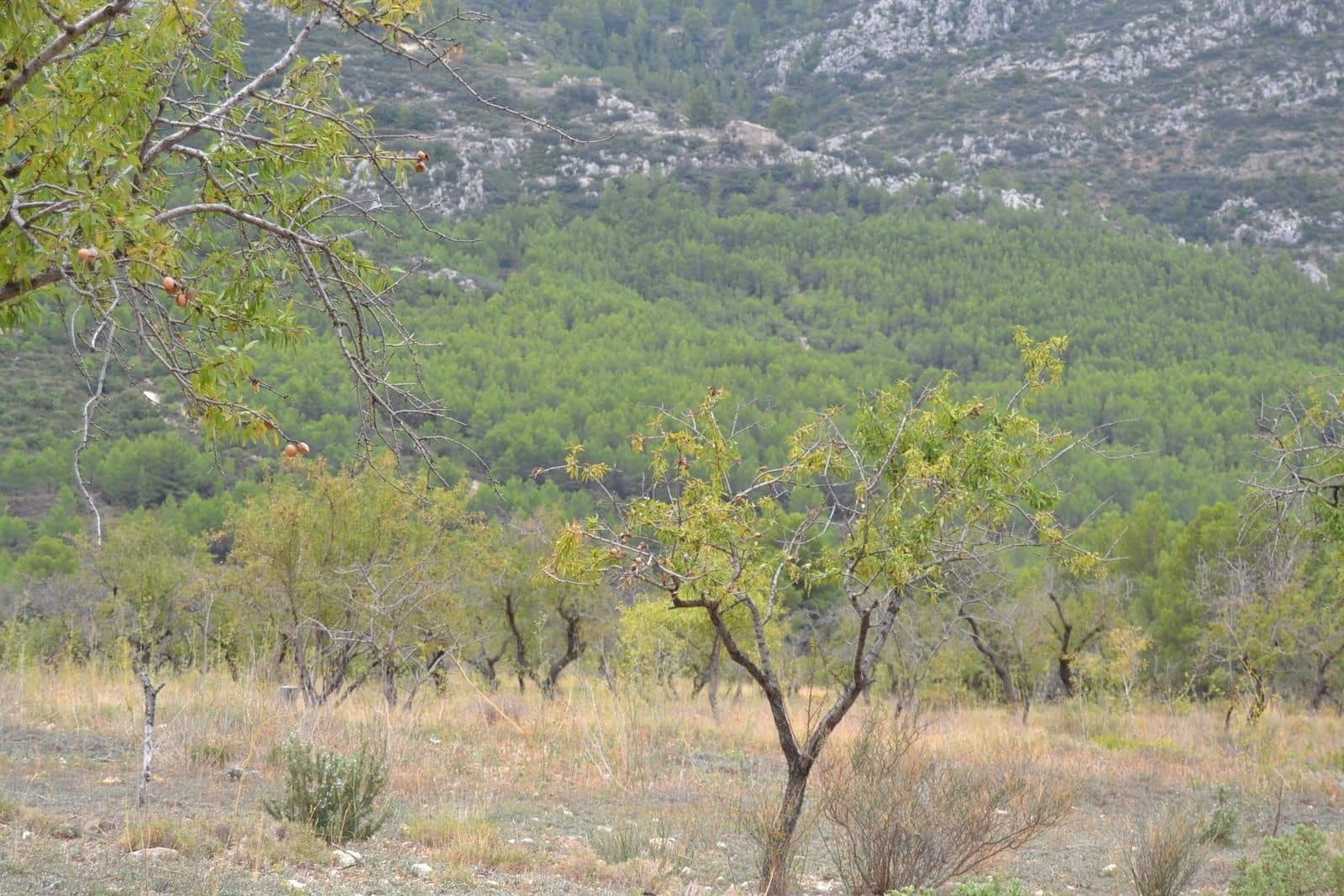 4 soveværelse Finca/Landehus til salg i Benimantell - € 295.000 (Ref: 7050883)