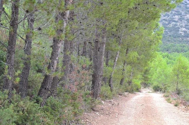 4 bedroom Finca/Country House for sale in Benimantell - € 295,000 (Ref: 7050883)