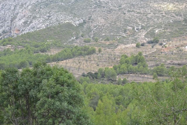 4 bedroom Finca/Country House for sale in Benimantell - € 295,000 (Ref: 7050883)