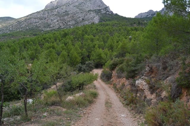 4 bedroom Finca/Country House for sale in Benimantell - € 295,000 (Ref: 7050883)