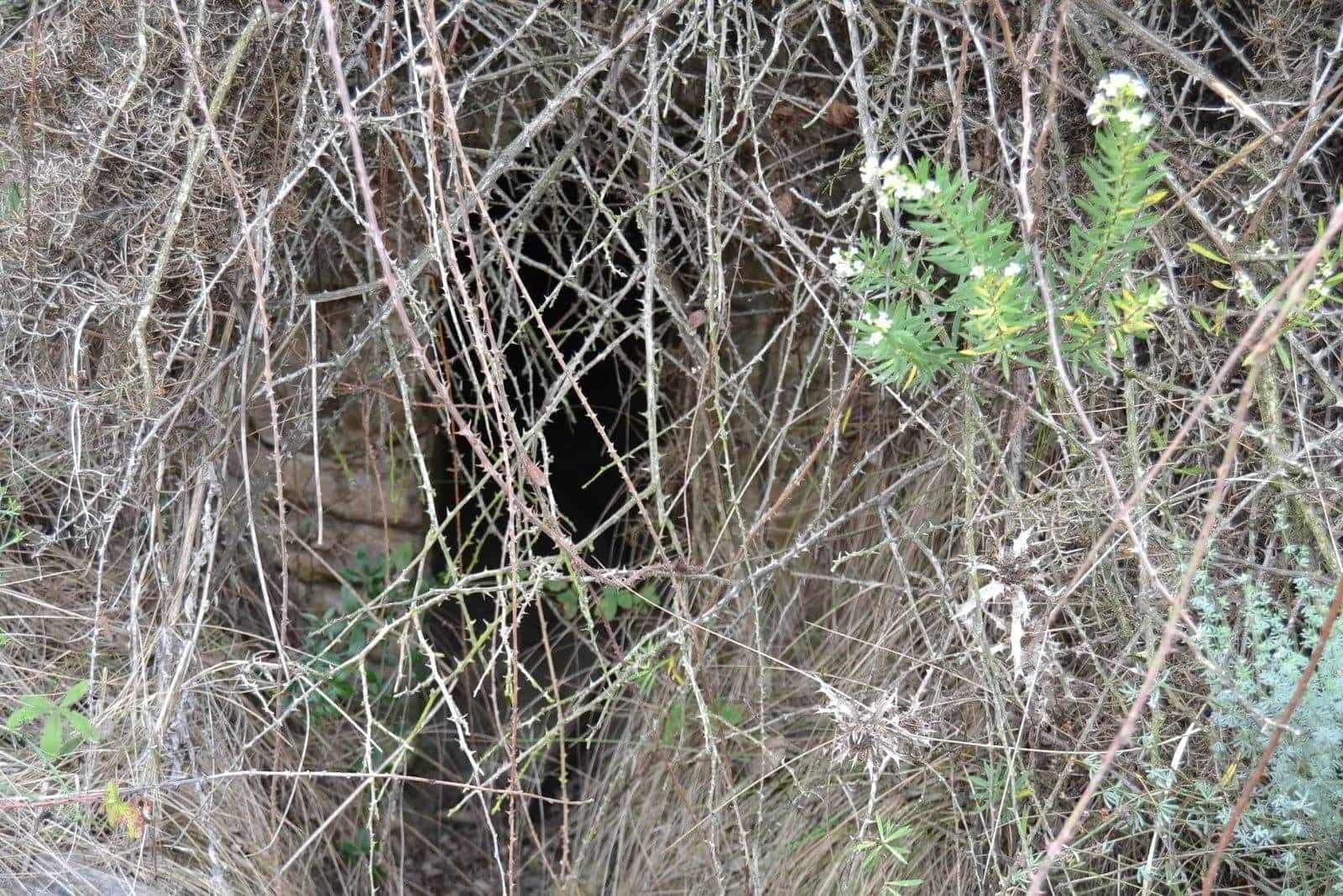 4 soveværelse Finca/Landehus til salg i Benimantell - € 295.000 (Ref: 7050883)