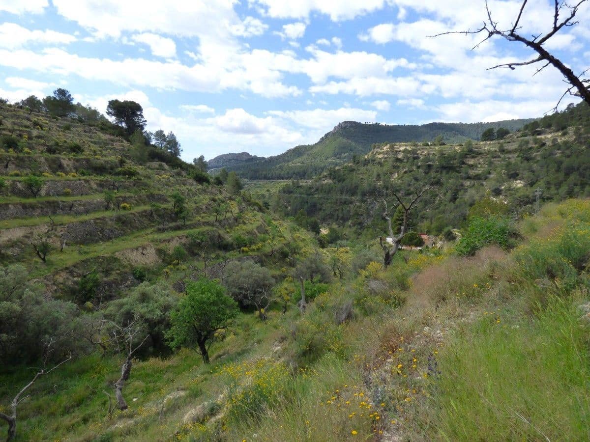 Terre non Aménagée à vendre à Relleu - 59 000 € (Ref: 9822317)