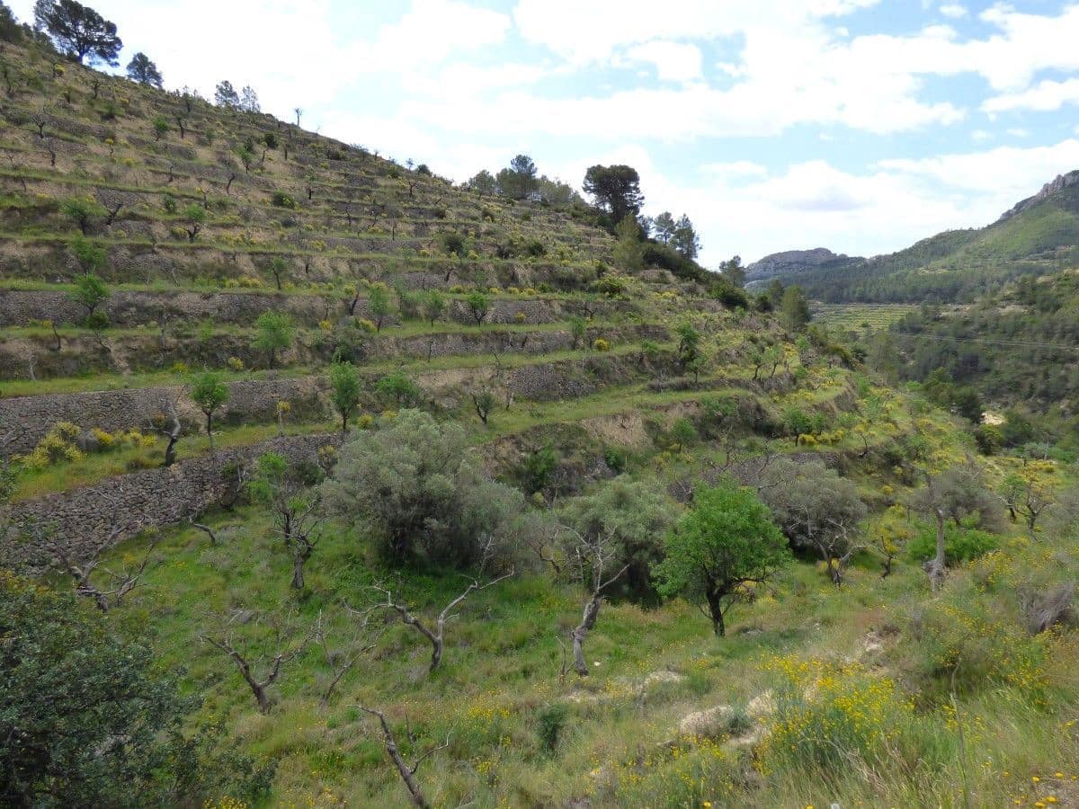 Terre non Aménagée à vendre à Relleu - 59 000 € (Ref: 9822317)