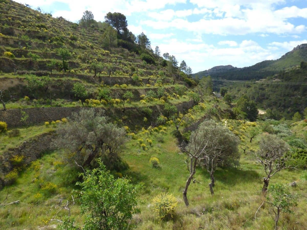 Terre non Aménagée à vendre à Relleu - 59 000 € (Ref: 9822317)