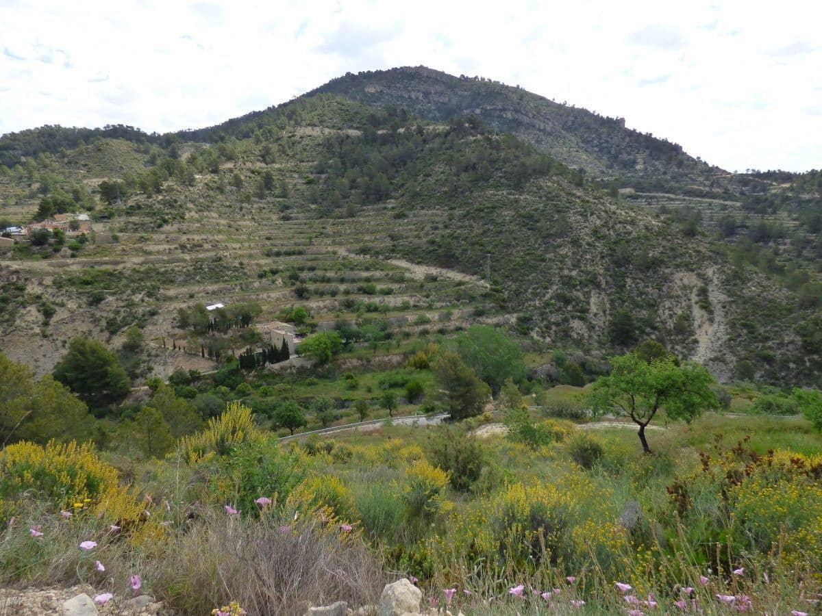 Terre non Aménagée à vendre à Relleu - 49 000 € (Ref: 9822318)