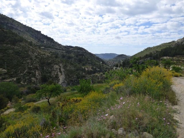 Terre non Aménagée à vendre à Relleu - 49 000 € (Ref: 9822318)