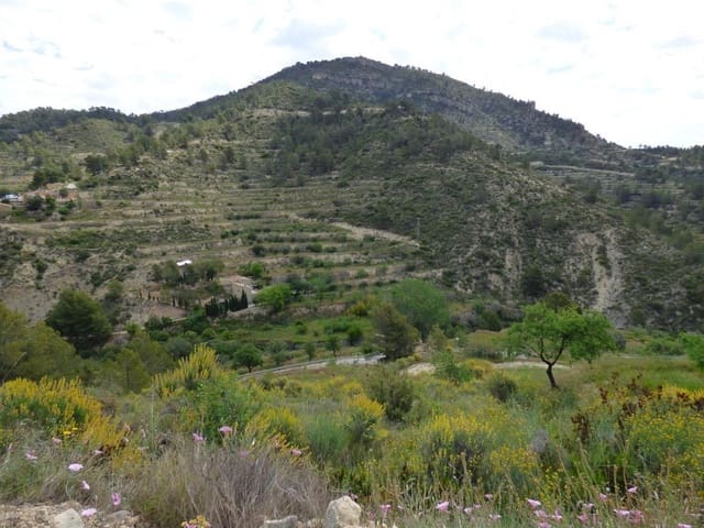 Terre non Aménagée à vendre à Relleu - 49 000 € (Ref: 9822318)