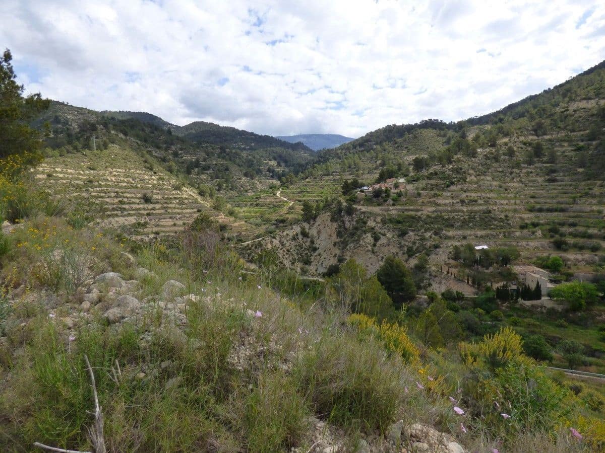 Terre non Aménagée à vendre à Relleu - 49 000 € (Ref: 9822318)