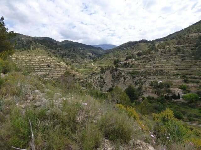 Terre non Aménagée à vendre à Relleu - 49 000 € (Ref: 9822318)