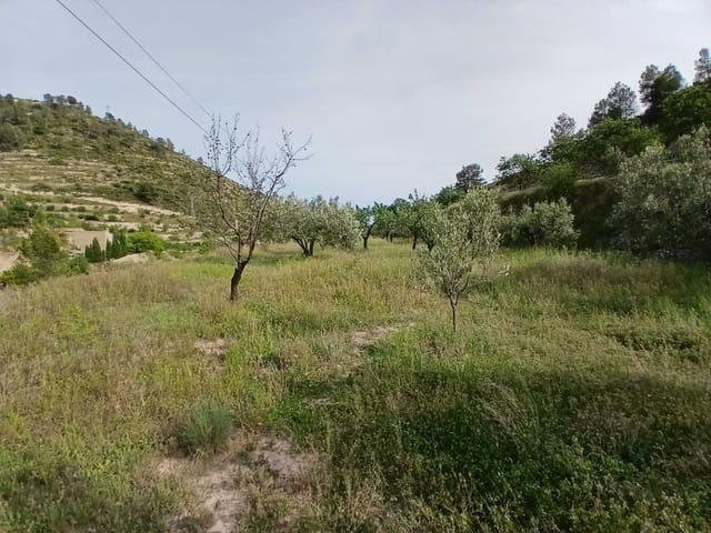 Terre non Aménagée à vendre à Relleu - 49 000 € (Ref: 9822318)