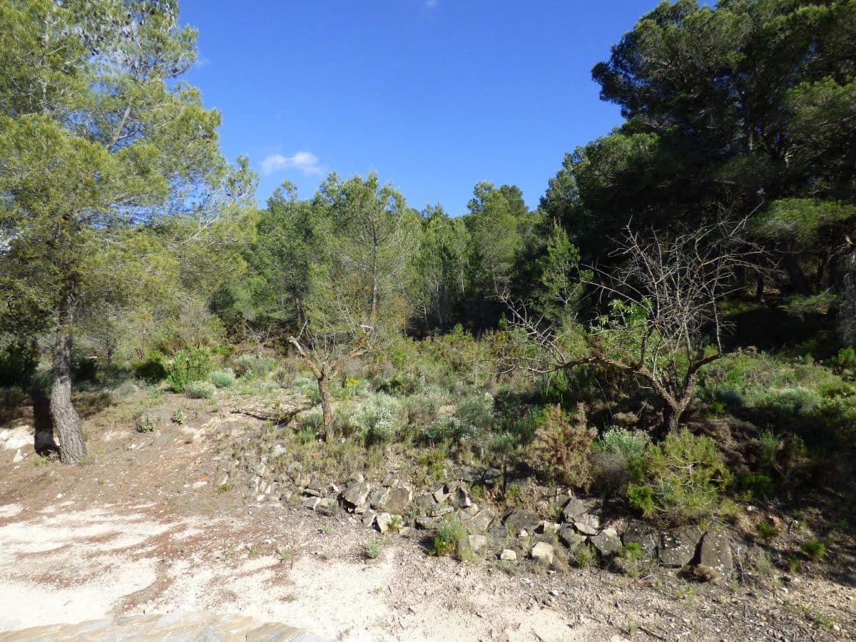 3 bedroom Villa for sale in Torremanzanas with garage - € 144,900 (Ref: 9830770)