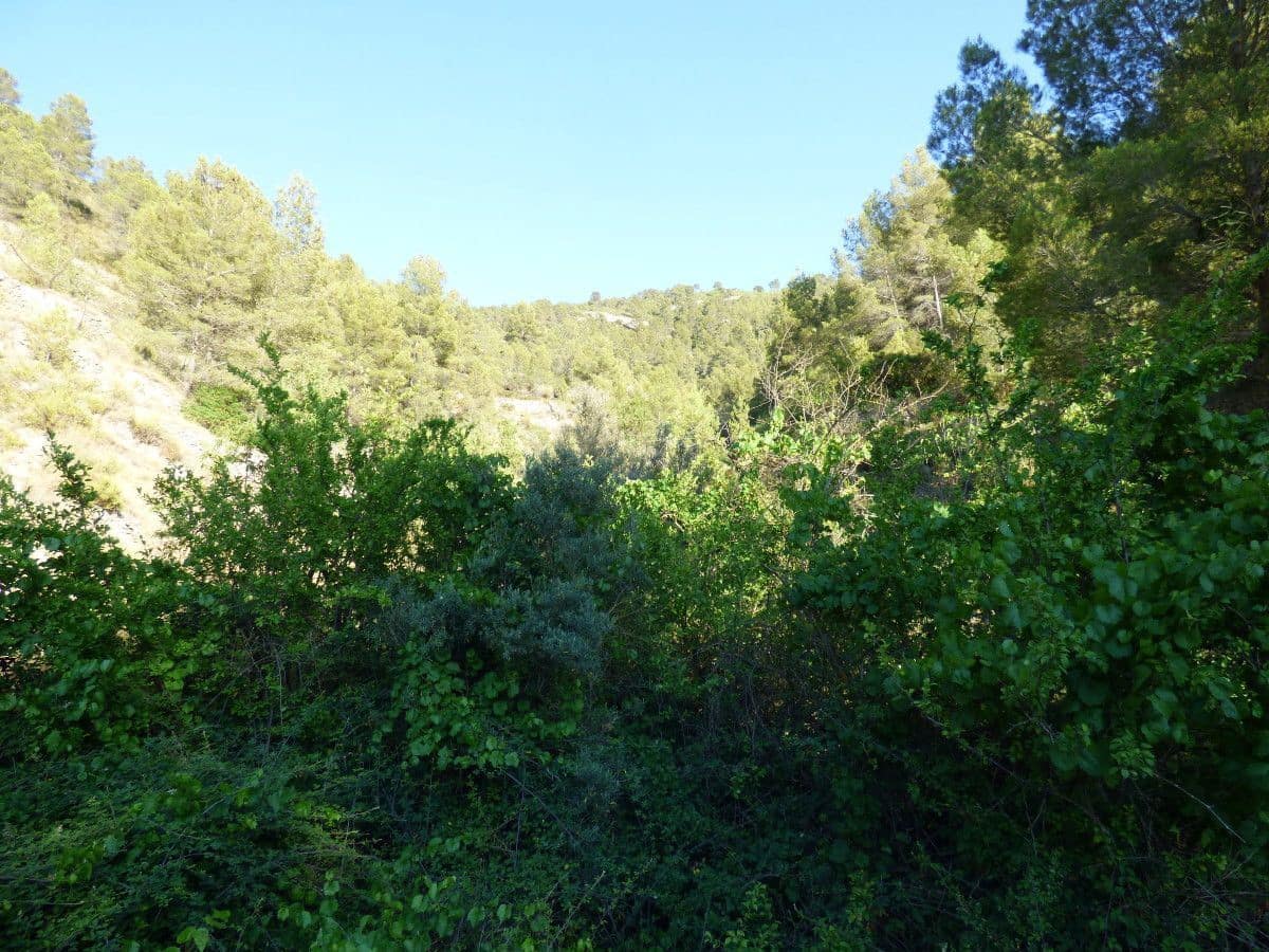 3 quarto Quinta/Casa Rural para venda em Relleu - 53 000 € (Ref: 9941778)