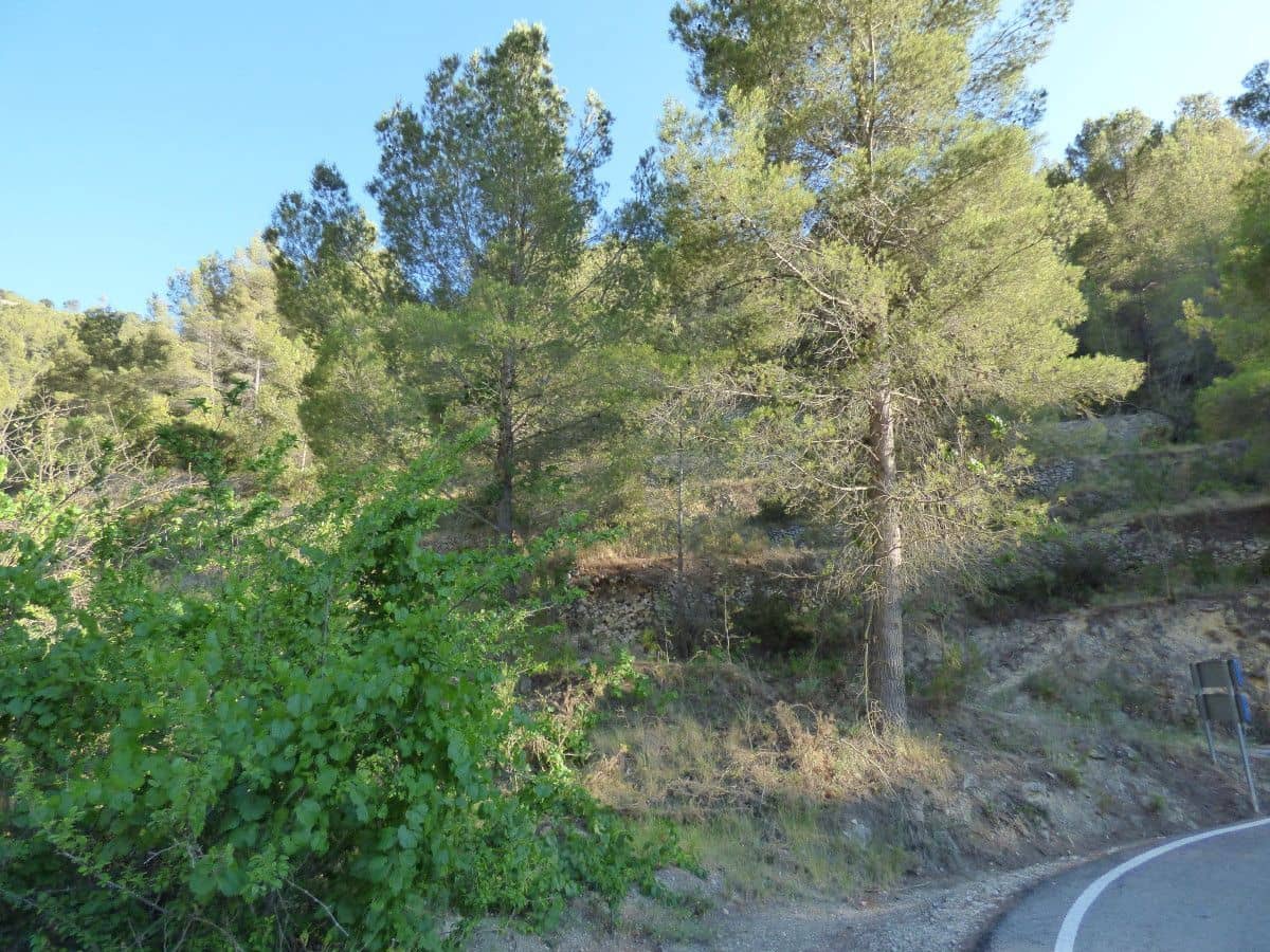 3 quarto Quinta/Casa Rural para venda em Relleu - 53 000 € (Ref: 9941778)