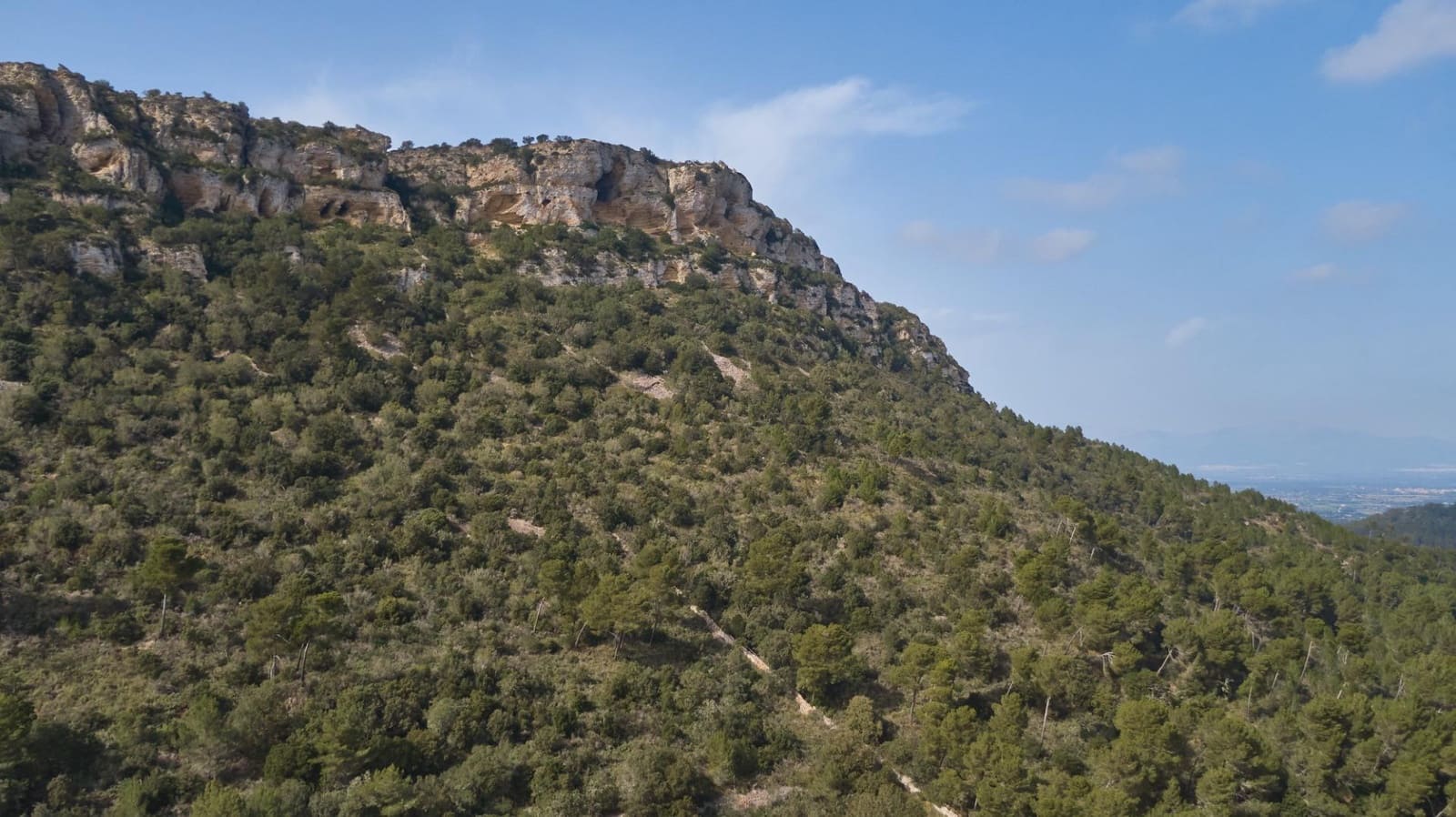 5 sypialnia Finka/Dom wiejski na sprzedaż w Llucmajor z basenem - 1 500 000 € (Ref: 7479220)