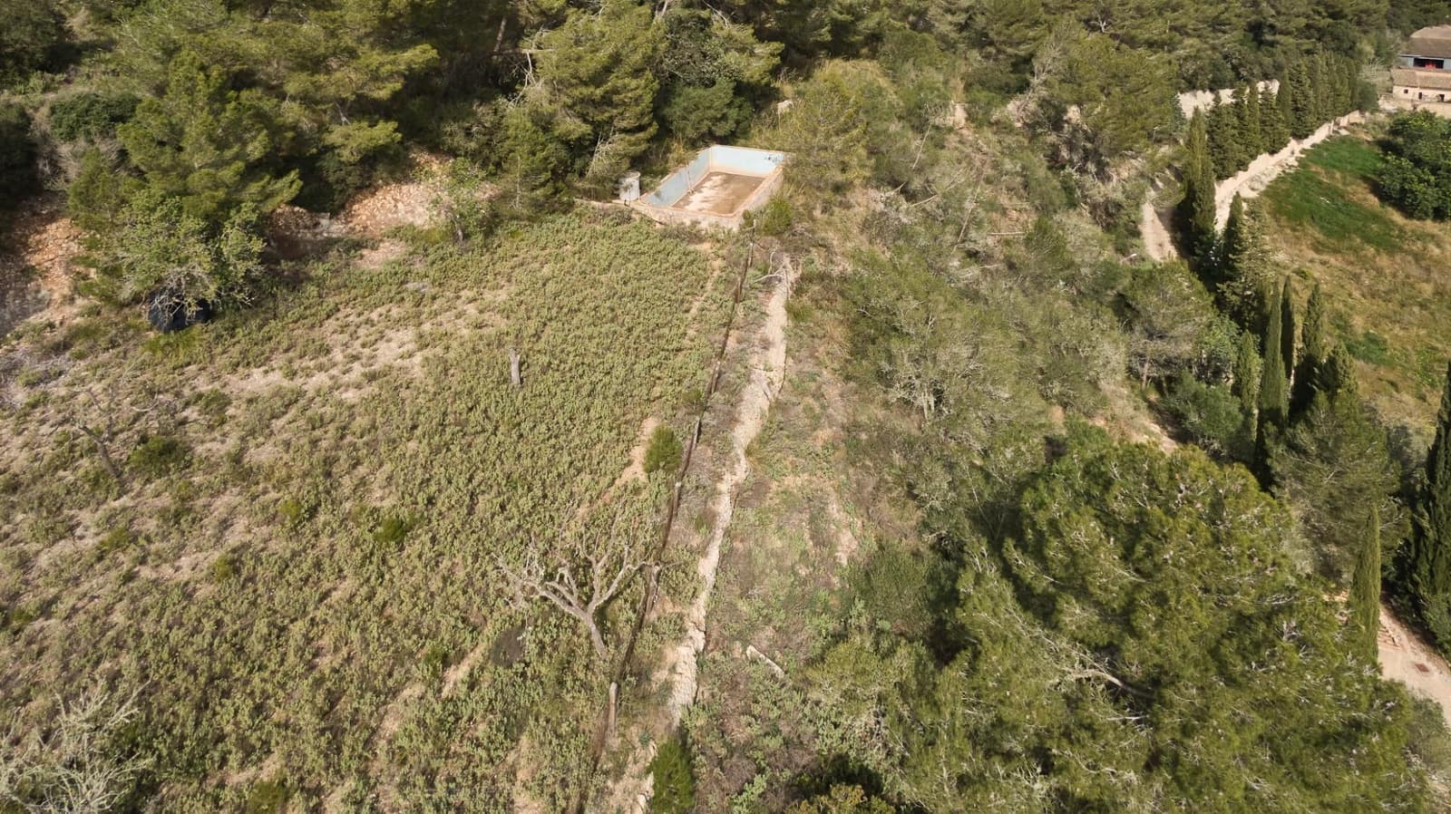 5 sypialnia Finka/Dom wiejski na sprzedaż w Llucmajor z basenem - 1 500 000 € (Ref: 7479220)