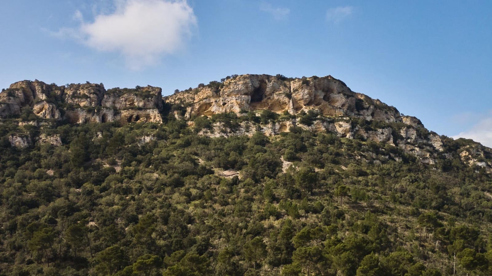 5 sypialnia Finka/Dom wiejski na sprzedaż w Llucmajor z basenem - 1 500 000 € (Ref: 7479220)