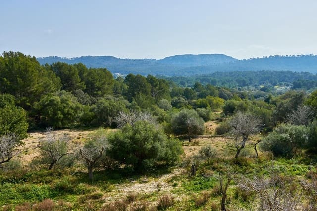 5 Zimmer Finca/Landgut zu verkaufen in Llucmajor mit Pool - 1.500.000 € (Ref: 7479220)