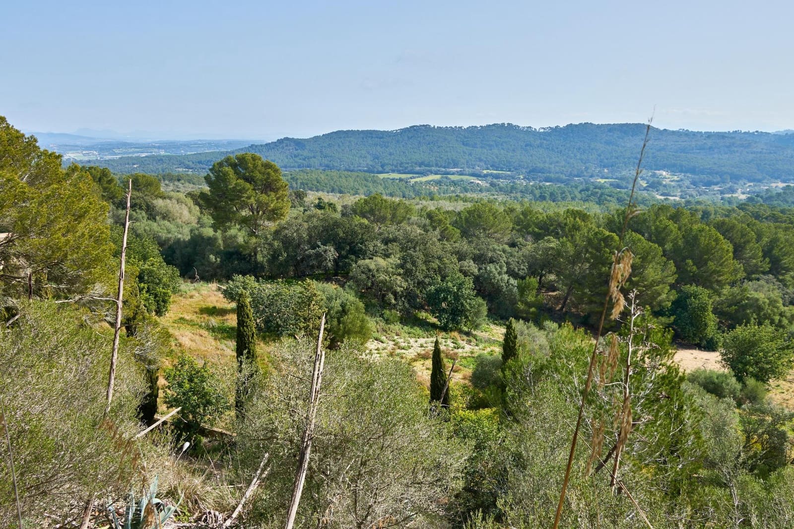 5 sypialnia Finka/Dom wiejski na sprzedaż w Llucmajor z basenem - 1 500 000 € (Ref: 7479220)