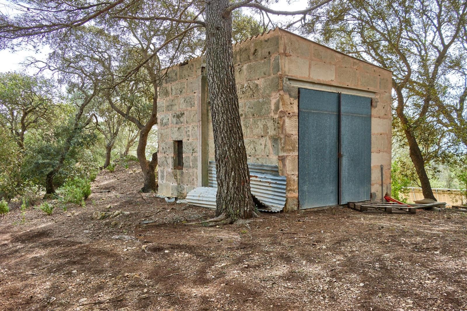 5 sypialnia Finka/Dom wiejski na sprzedaż w Llucmajor z basenem - 1 500 000 € (Ref: 7479220)