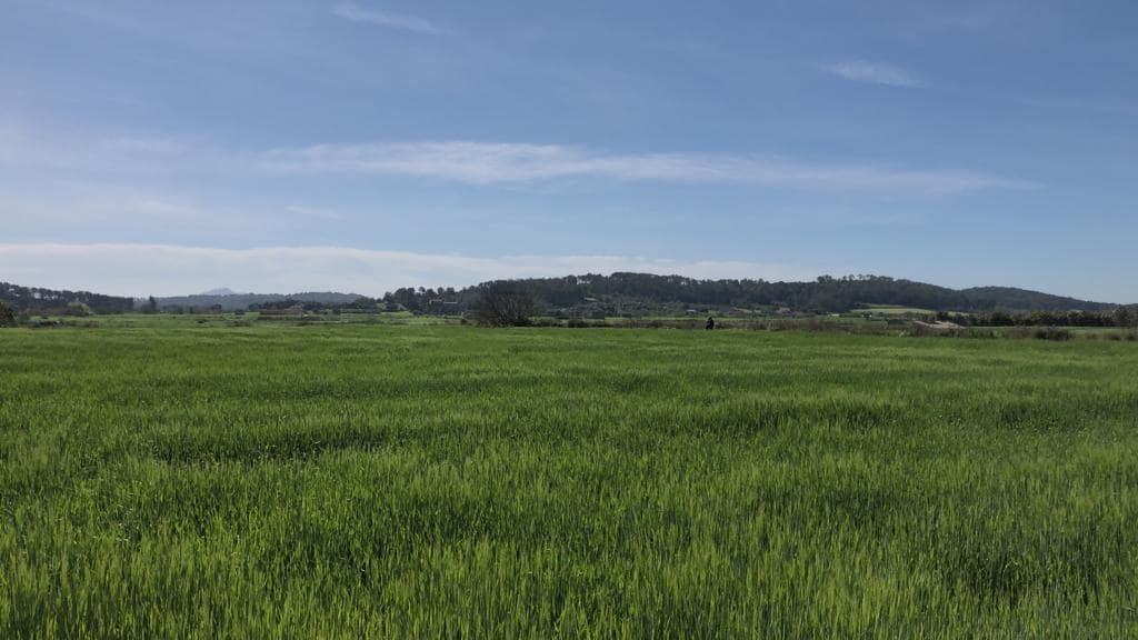 Finca/Maison de Campagne à vendre à Sant Joan - 169 500 € (Ref: 7854998)