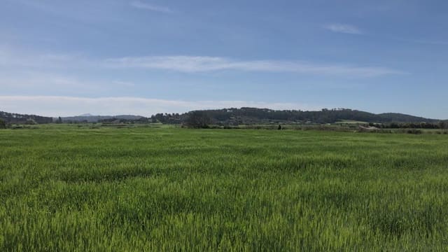 Finca/Maison de Campagne à vendre à Sant Joan - 169 500 € (Ref: 7854998)