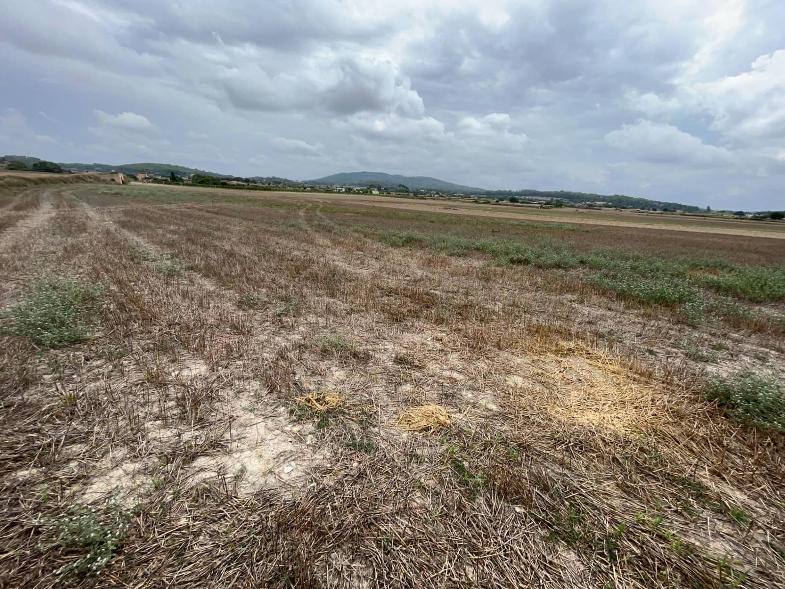 Finca/Maison de Campagne à vendre à Sant Joan - 169 500 € (Ref: 7854998)