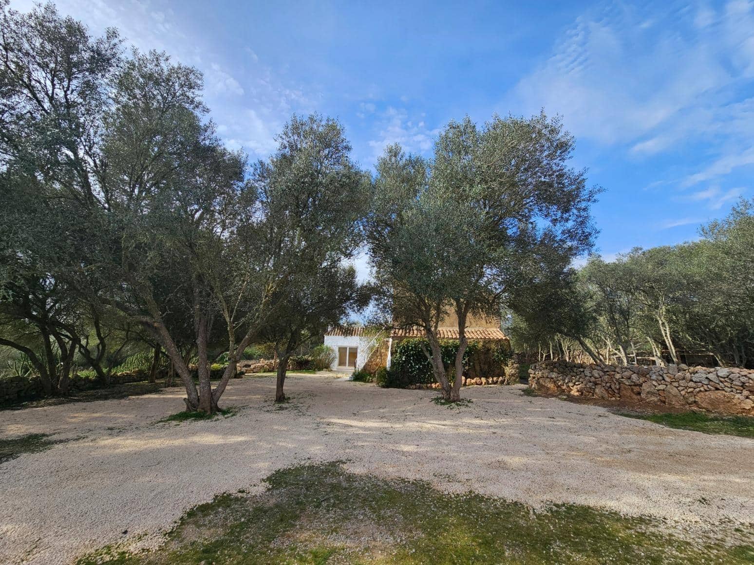 3 soveværelse Finca/Landehus til leje i Algaida med swimmingpool - € 2.200 (Ref: 8114936)