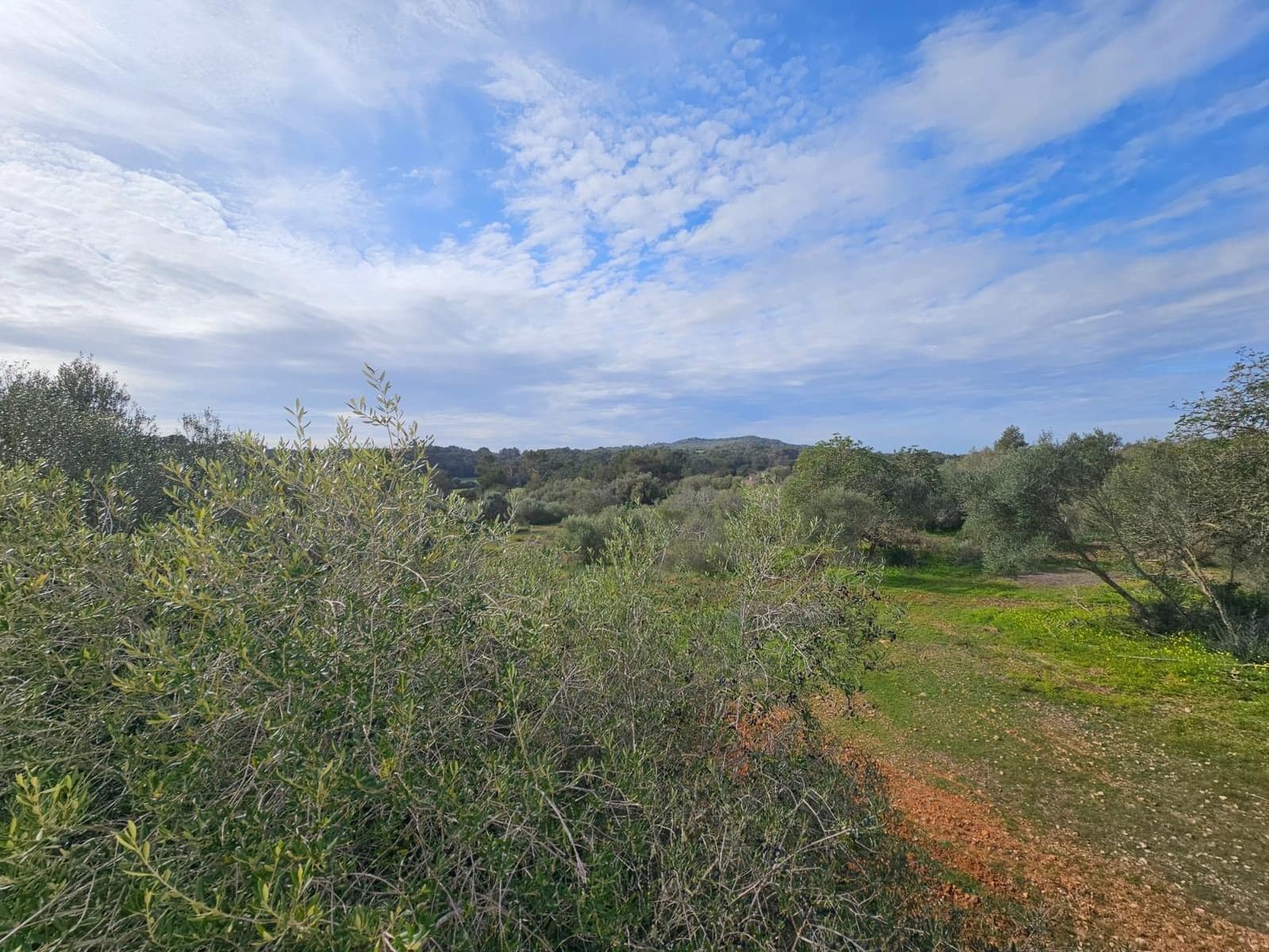 3 soveværelse Finca/Landehus til leje i Algaida med swimmingpool - € 2.200 (Ref: 8114936)