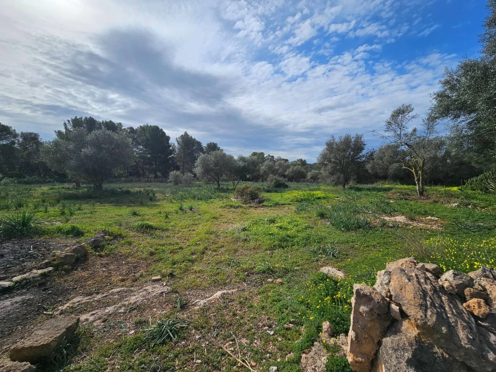 3 soveværelse Finca/Landehus til leje i Algaida med swimmingpool - € 2.200 (Ref: 8114936)