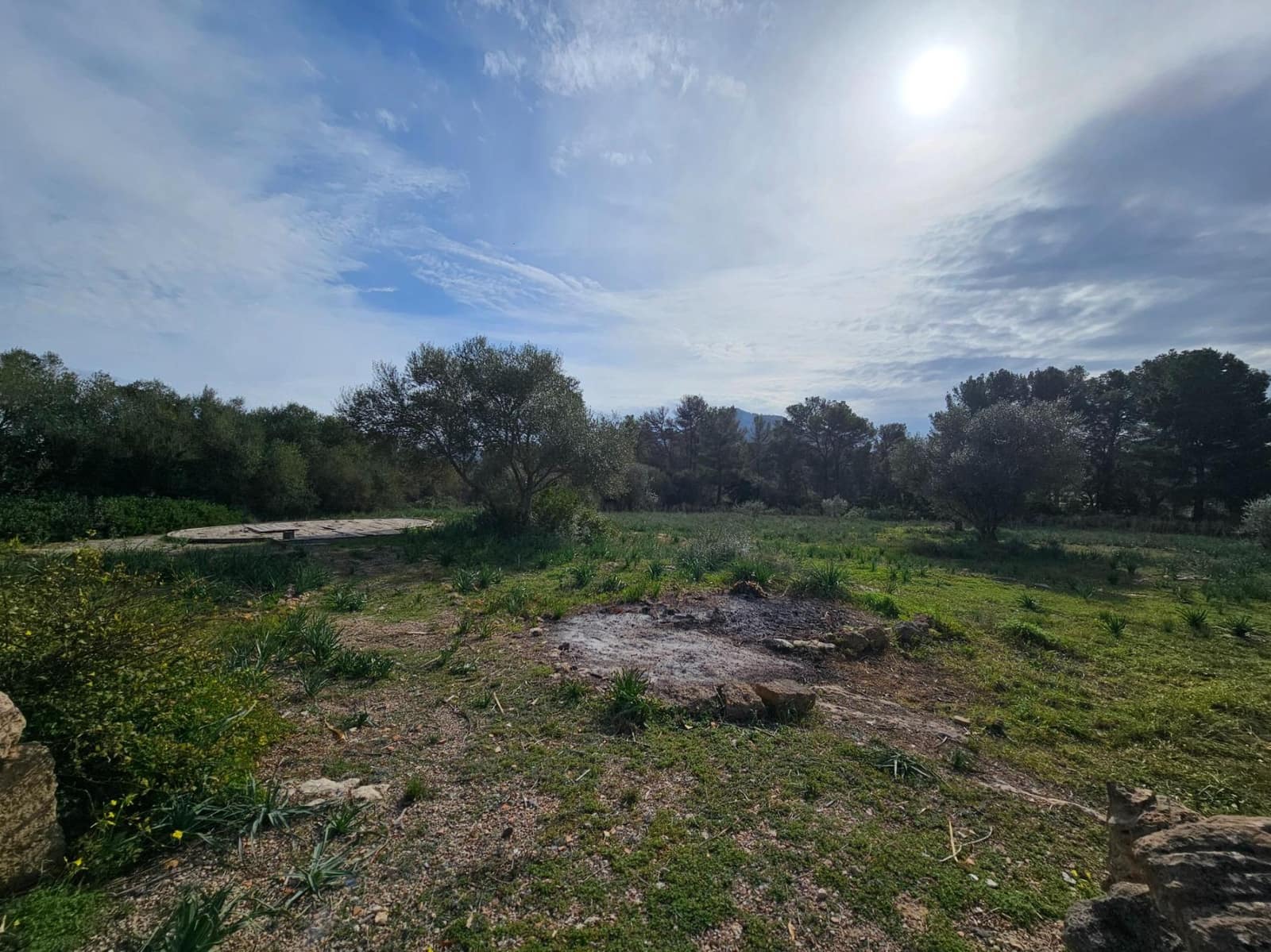 3 soveværelse Finca/Landehus til leje i Algaida med swimmingpool - € 2.200 (Ref: 8114936)