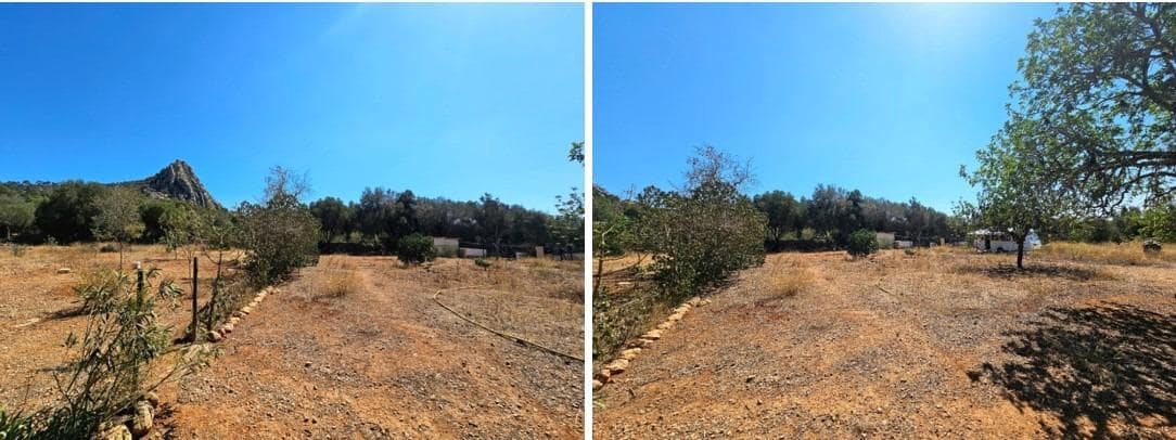 Terreno Não Urbanizado para venda em Llucmajor - 107 000 € (Ref: 8430448)