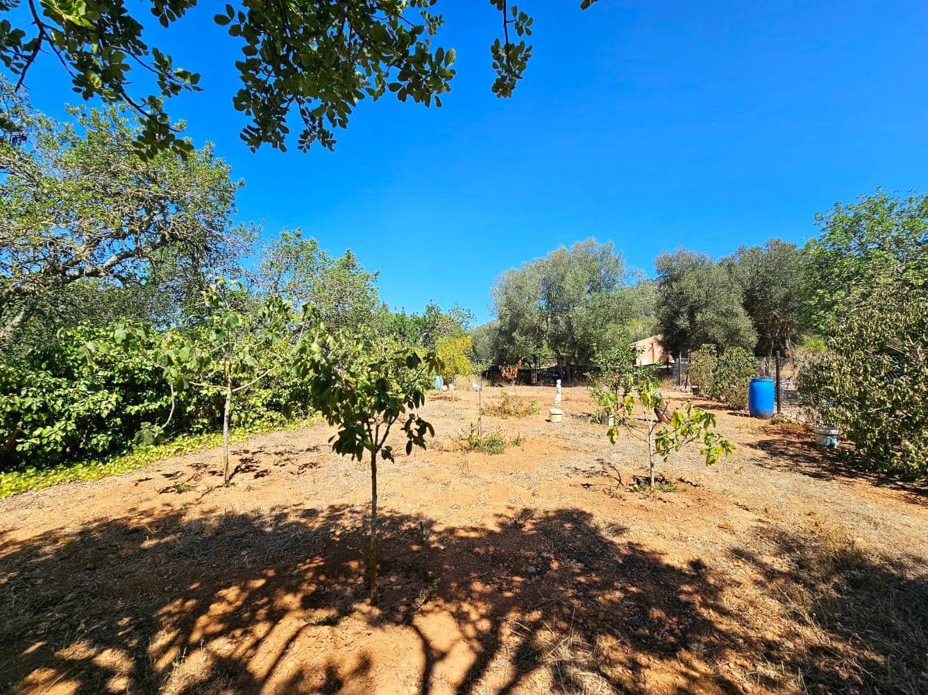 Terreno Não Urbanizado para venda em Llucmajor - 107 000 € (Ref: 8430448)