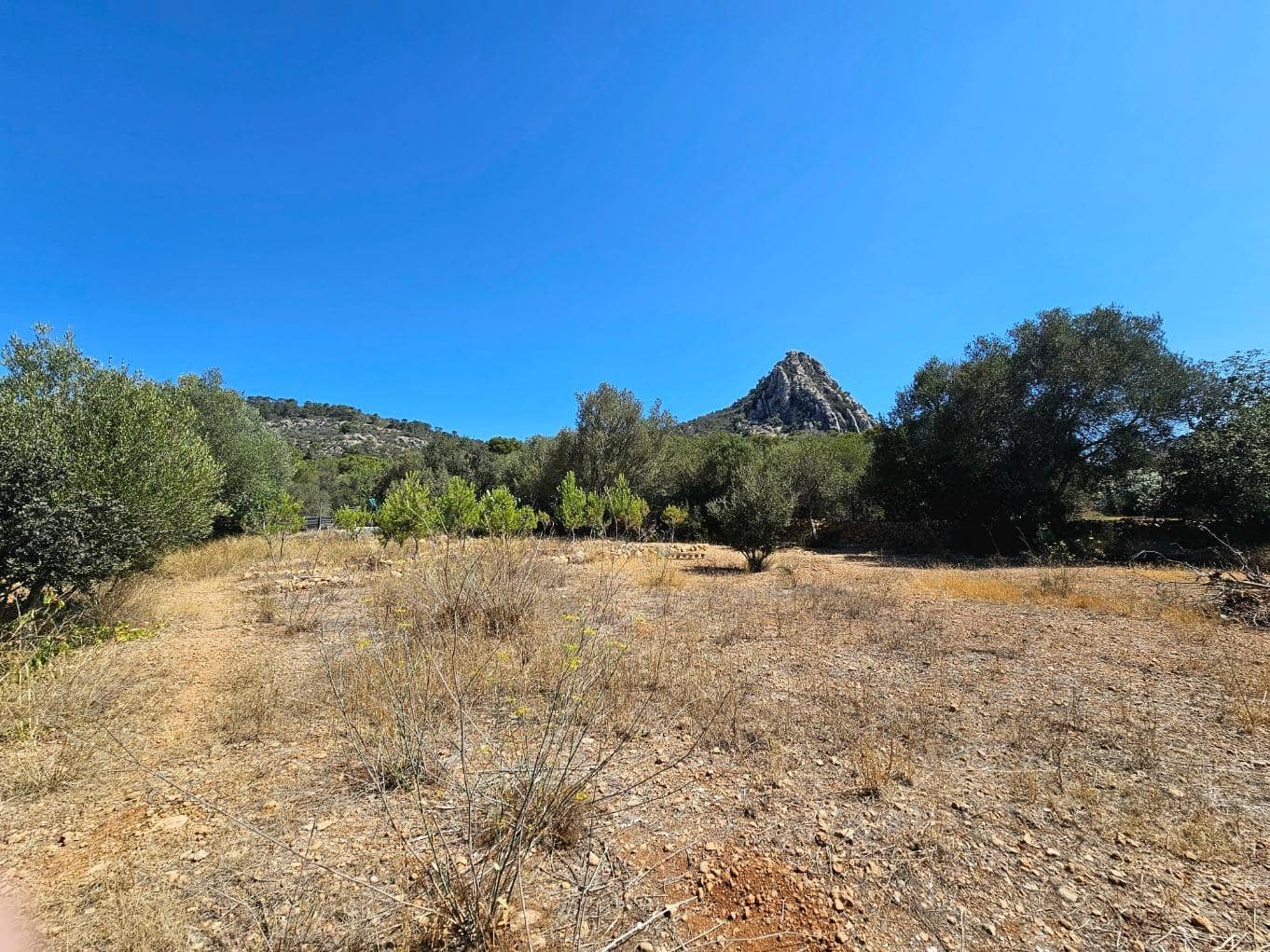 Terreno Não Urbanizado para venda em Llucmajor - 107 000 € (Ref: 8430448)