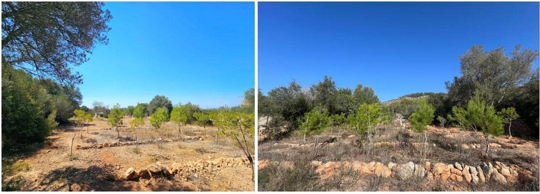 Terreno Não Urbanizado para venda em Llucmajor - 107 000 € (Ref: 8430448)