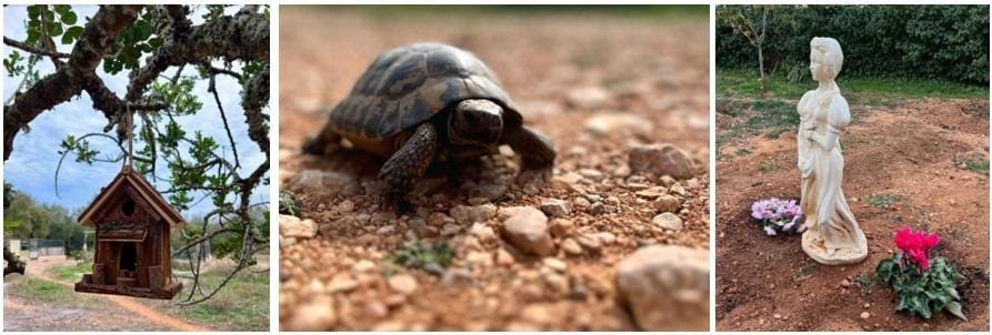 Terreno Não Urbanizado para venda em Llucmajor - 107 000 € (Ref: 8430448)