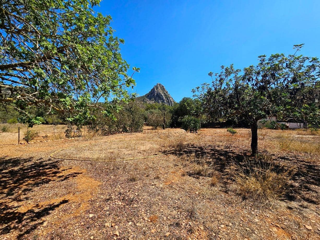 Terreno Não Urbanizado para venda em Llucmajor - 107 000 € (Ref: 8430448)