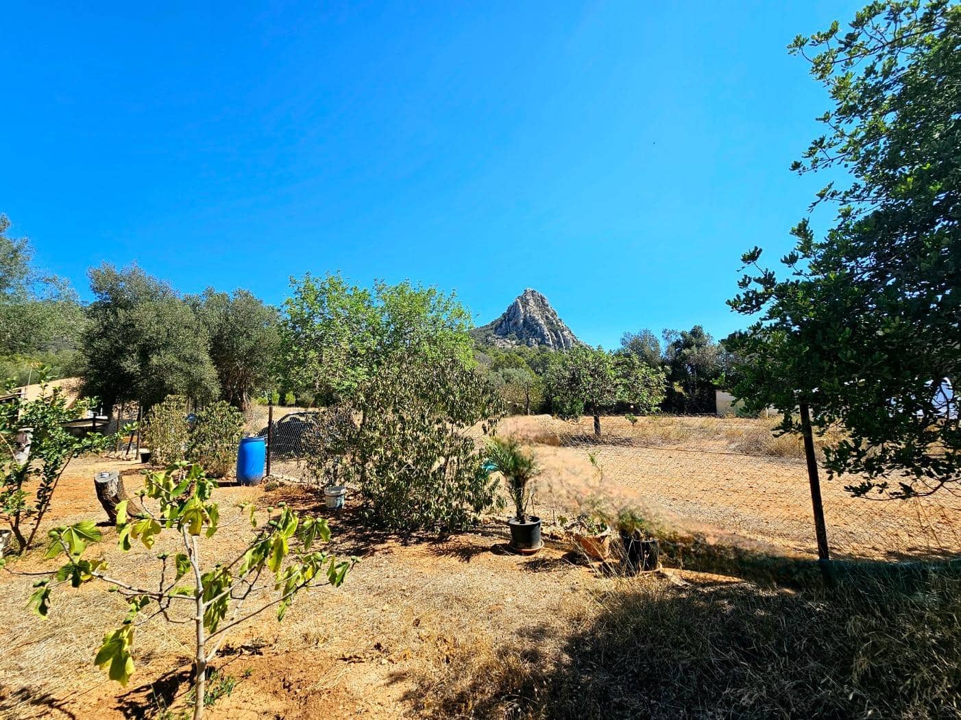 Terreno Não Urbanizado para venda em Llucmajor - 107 000 € (Ref: 8430448)