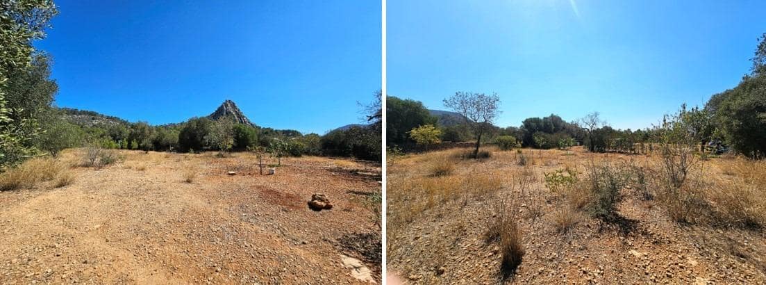 Terreno Non Edificato in vendita in Llucmajor - 115.000 € (Rif: 8430448)