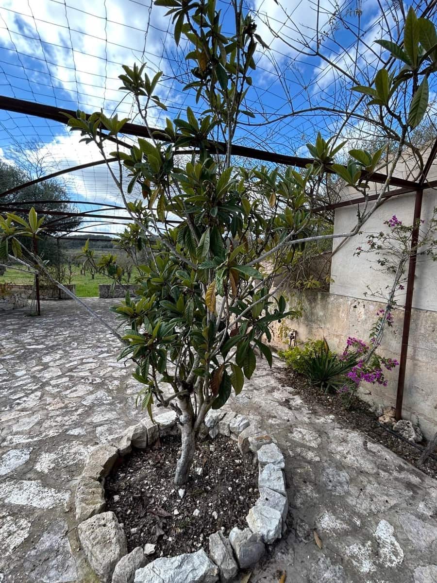 2 sypialnia Finka/Dom wiejski na sprzedaż w Algaida - 690 000 € (Ref: 8838652)