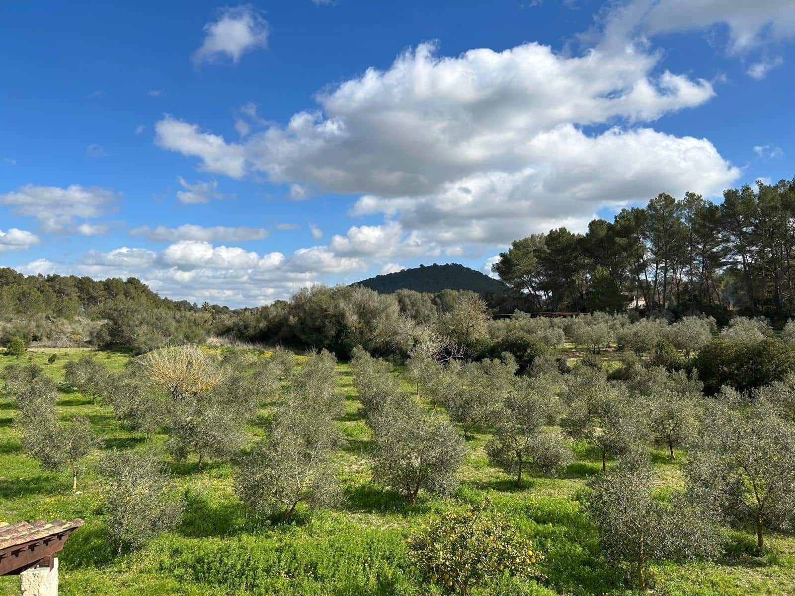 2 sypialnia Finka/Dom wiejski na sprzedaż w Algaida - 690 000 € (Ref: 8838652)