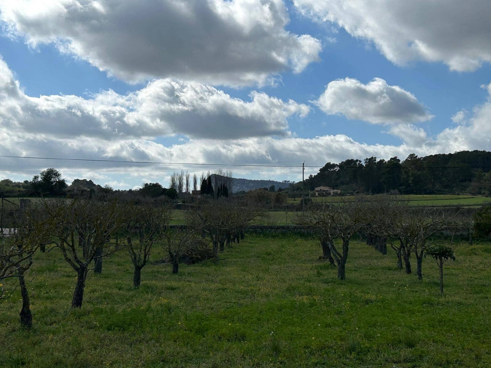 2 bedroom Finca/Country House for sale in Algaida - € 690,000 (Ref: 8838652)