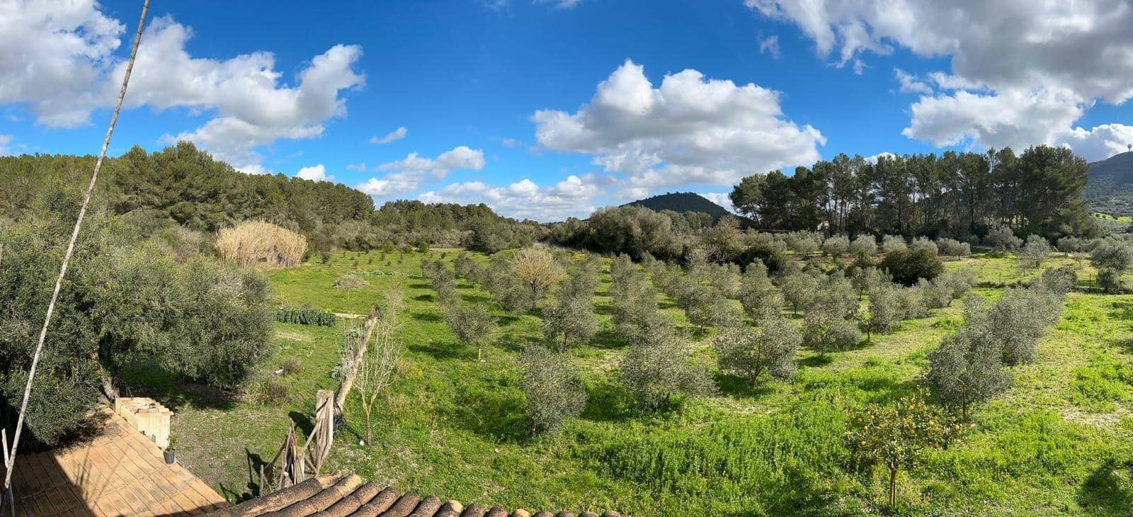 2 bedroom Finca/Country House for sale in Algaida - € 690,000 (Ref: 8838652)