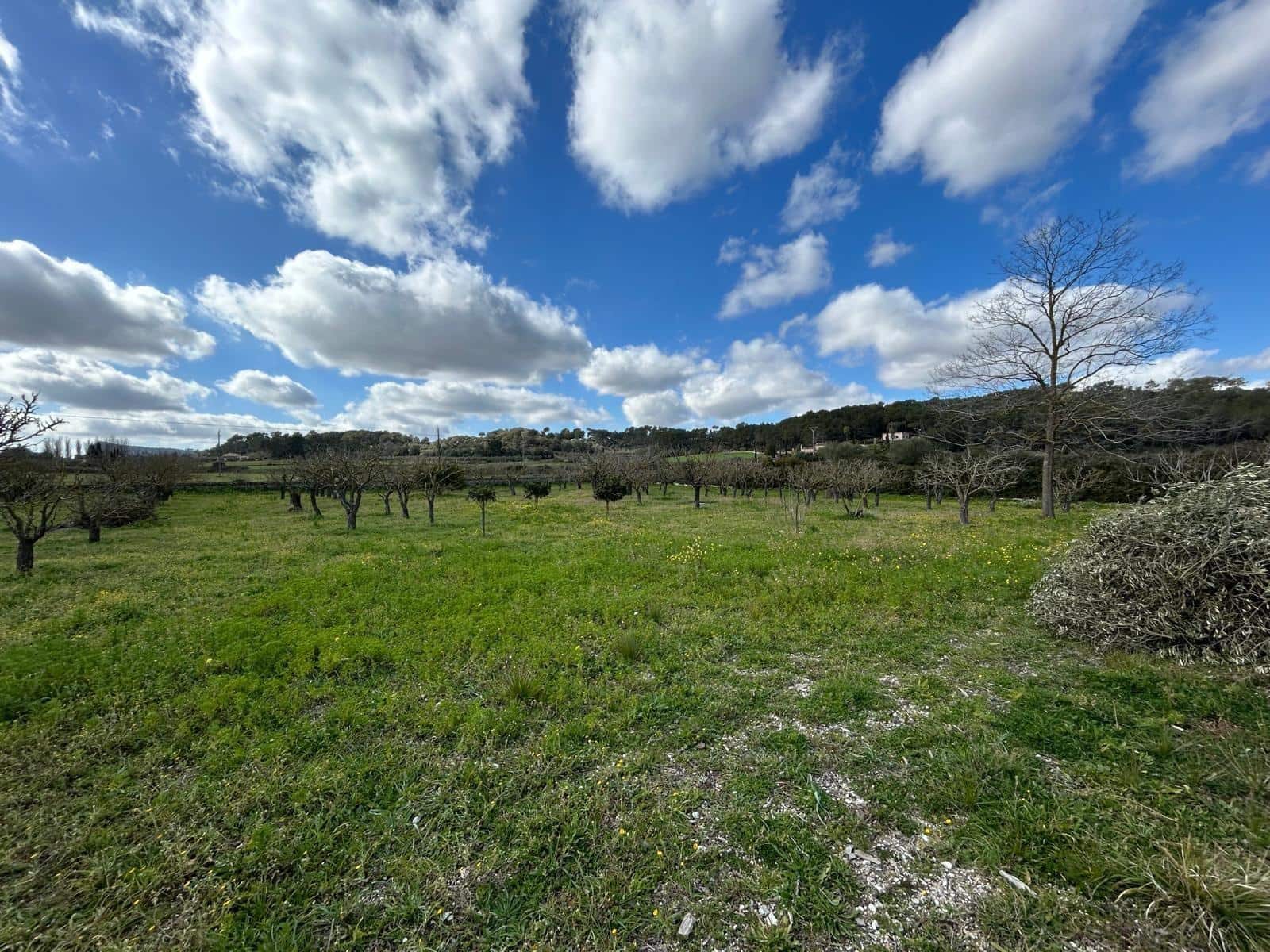 2 bedroom Finca/Country House for sale in Algaida - € 690,000 (Ref: 8838652)